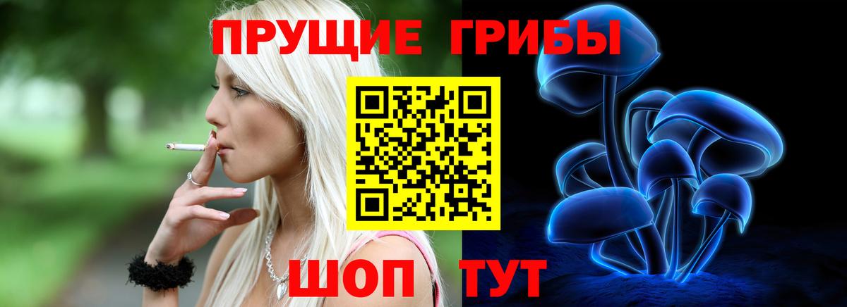 Псилоцибиновые грибы Psilocybe Владикавказ